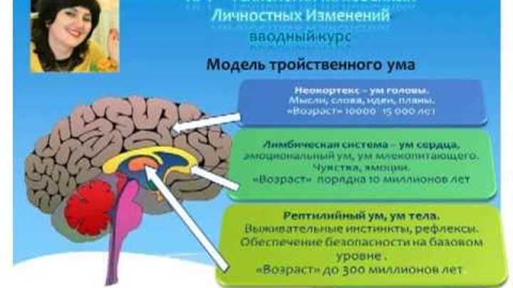 Настройка печатных форм