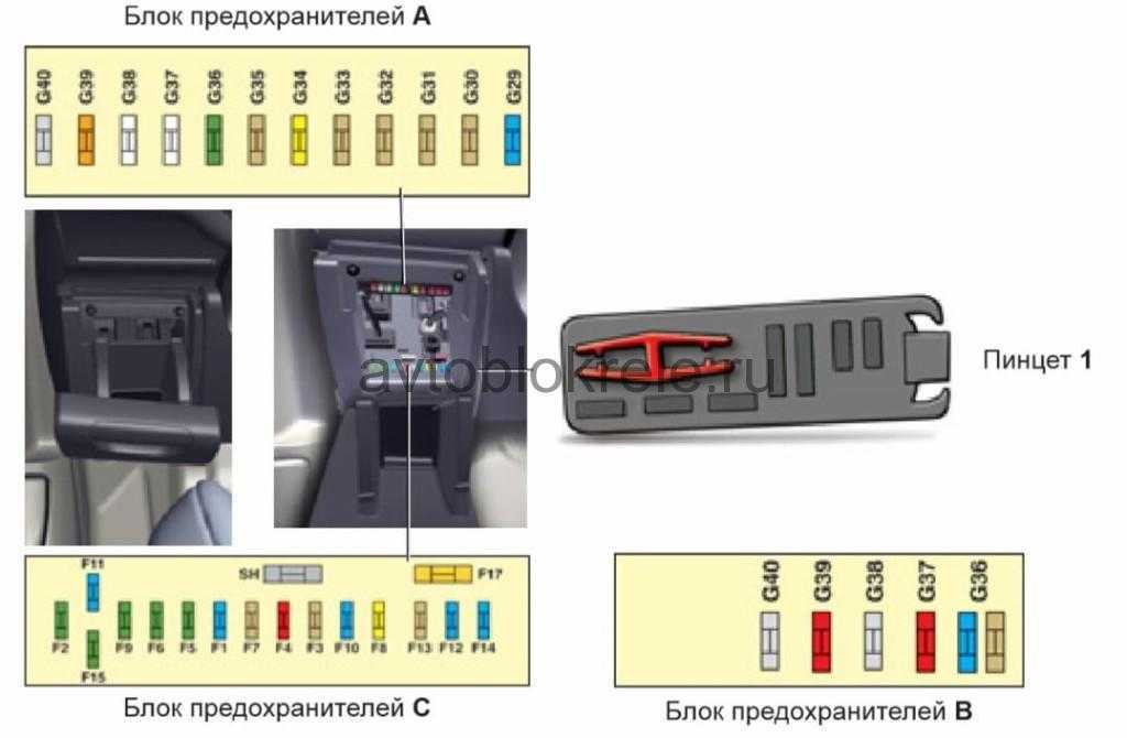 5 рублей (спецкаталог) | монеты современной россии